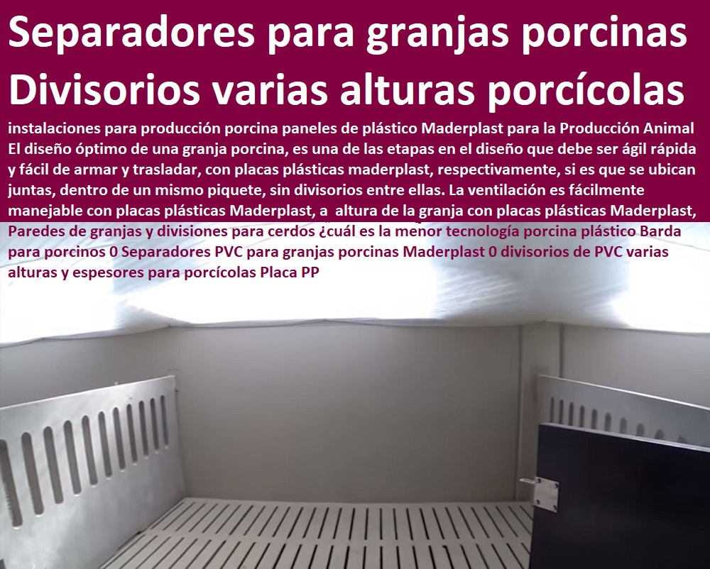 Paredes de granjas y divisiones para cerdos ¿cuál es la menor tecnología porcina plástico Barda para porcinos 0 parideras, porcinas corral, gestación cerdas, parto cerda, lechonera, destete, jaula pre ceba porcinos, corraleja, ceba, engorde cerdos, porqueriza cría de lechones, pisos jaulas comederos, porcicultura jaulas, corrales, Separadores PVC para granjas porcinas Maderplast 0 divisorios de PVC varias alturas y espesores para porcícolas Placa PP Paredes de granjas y divisiones para cerdos ¿cuál es la menor tecnología porcina plástico Barda para porcinos 0 Separadores PVC para granjas porcinas Maderplast 0 divisorios de PVC varias alturas y espesores para porcícolas Placa PP